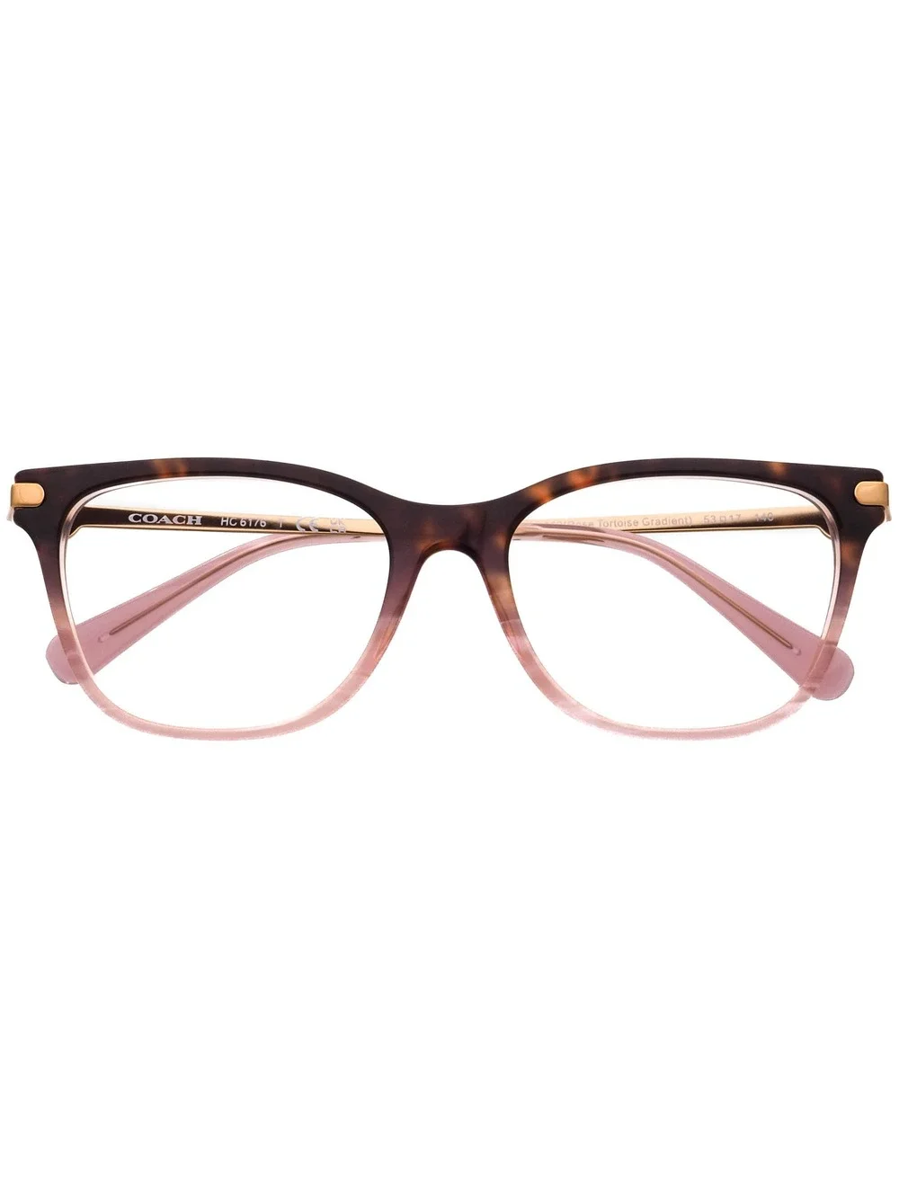 Coach HC 6176 5650 Eyewear